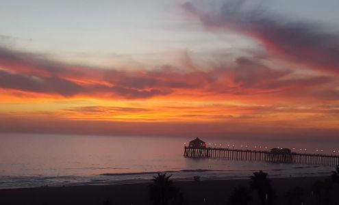 Tracie M. Cusimano, D.C.