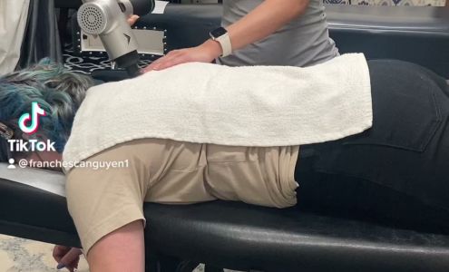 OC Live Active Chiropractic 11770 Warner Ave STE 117, Fountain Valley California 92708