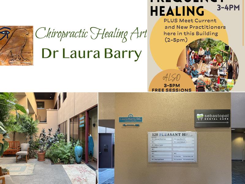 Dr. Laura Barry Chiropractic Healing Arts