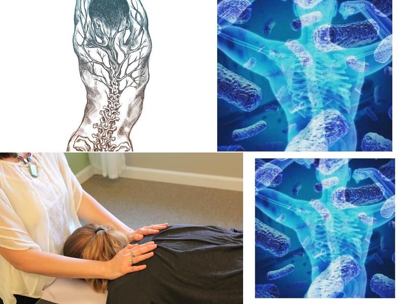 Revive Chiropractic & Massage