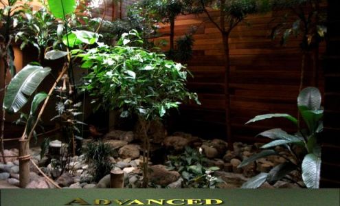 Advanced Chiropractic Centers 1061 E Main St STE 102, Grass Valley California 95945