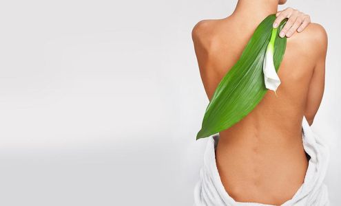 Peter Harrington DC 132 Joerschke Dr, Grass Valley California 95945