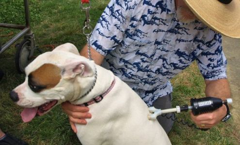 Woodhall Chiropractic 227 Colfax Ave, Grass Valley California 95945