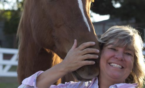 Sullivan Chiropractic 10055 Wolf Rd STE 4, Grass Valley California 95949