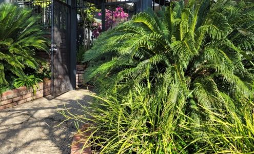 A Wellness Center, Dr. Stephanie Evans DC RPP