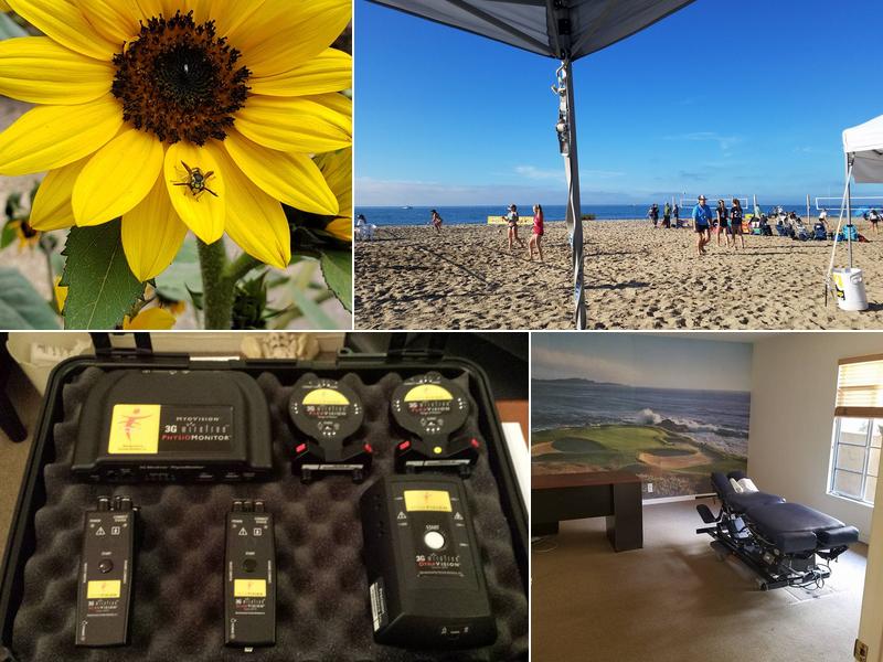 Barry Family Chiropractic