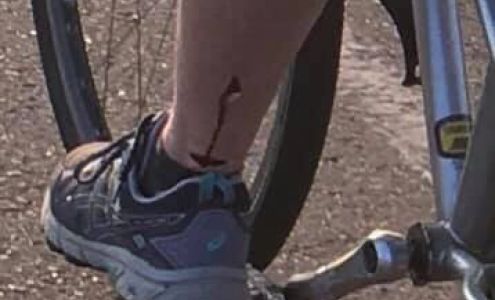 Martin P. Fiedler, DC