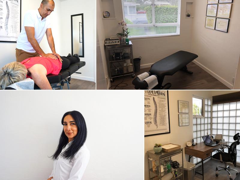 Dr. Hamed Alereza, DC