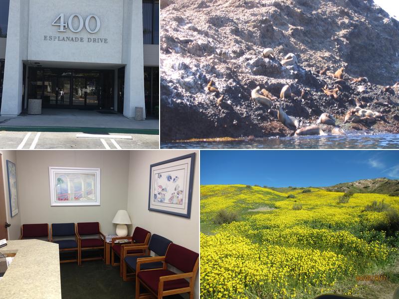 O'Neill Chiropractic