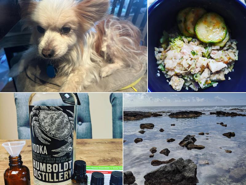 Mindflow Chiropractic and Wellness Center