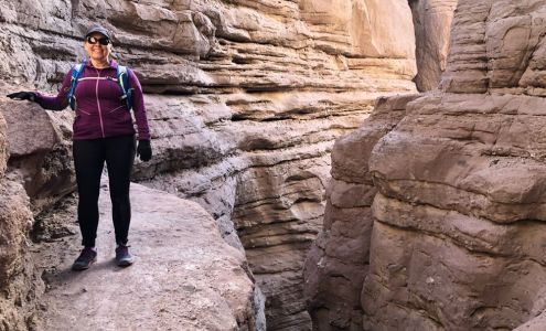 Hough Chiropractic 11770 Warner Ave STE 122, Fountain Valley California 92708