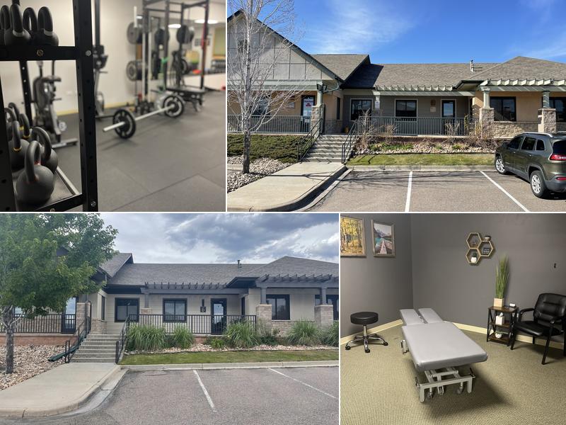 The Whole Performance