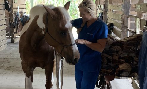 Bechtol Chiropractic & Wellness Center, Inc.