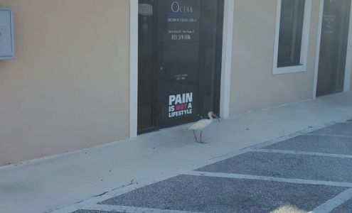 Ocean Chiropractic & Laser Center