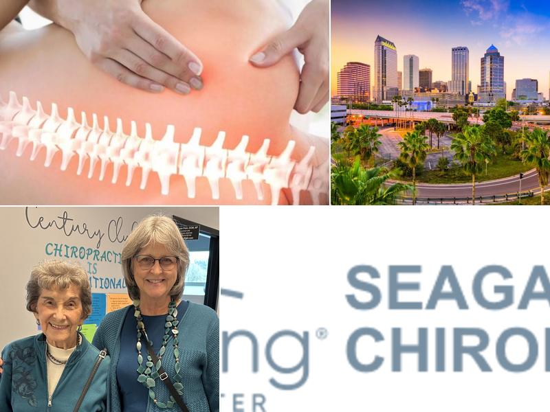 Seagate Chiropractic Carrollwood