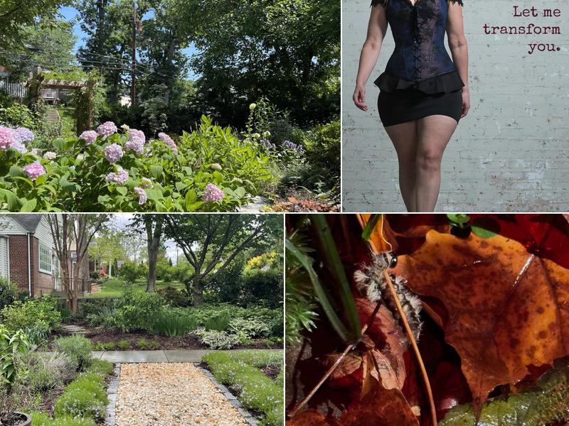 Makeovers with Elizabeth Taylor