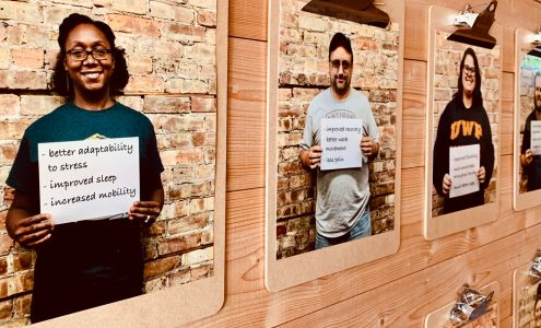 Wellness Tree Family Chiropractic 509 S State St, Belvidere Illinois 61008