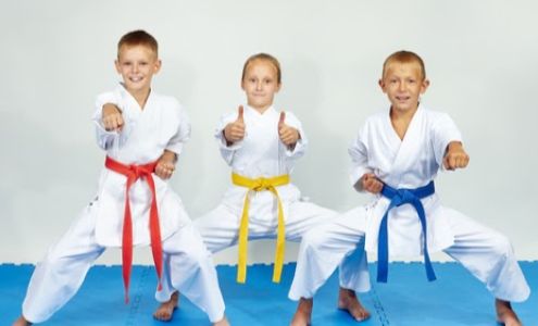 Mountain Martial Arts & Wellness Center 1924 Rhettsbury Street, Carmel Indiana 46032