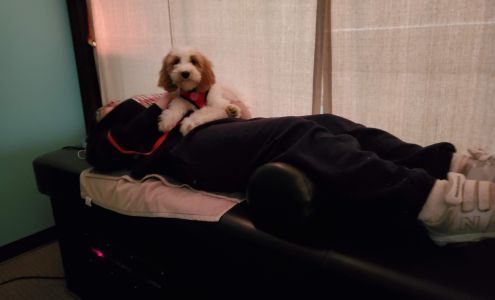 Elite Chiropractic and Wellness