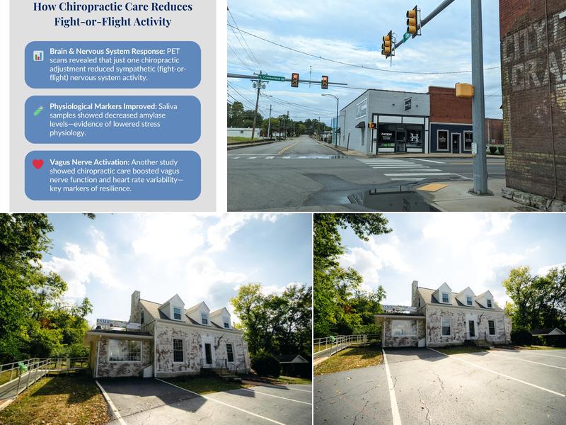 Healthy Bones Chiropractic