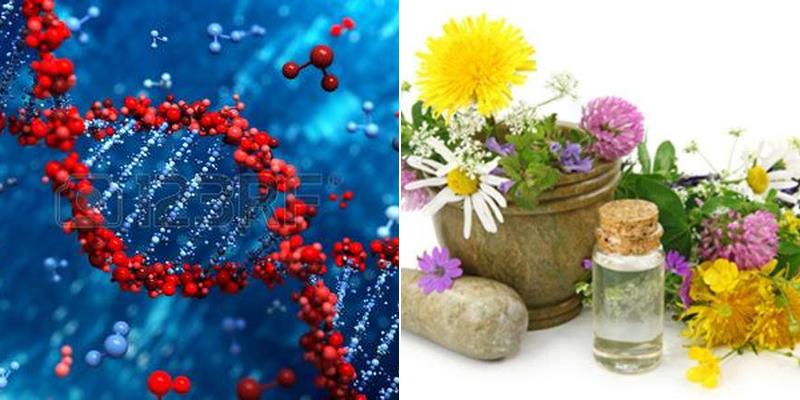 Snelling & Associates