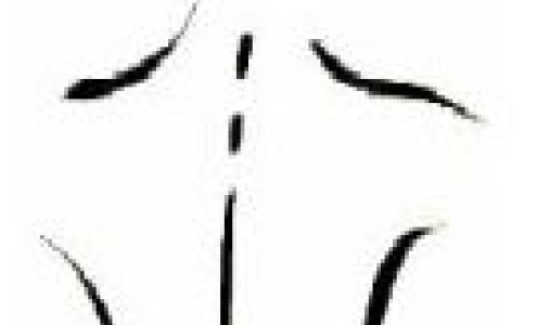 Branson Family Chiropractic