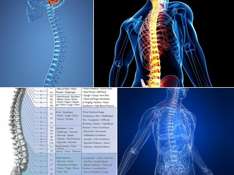 Ronald K. Collins, DC