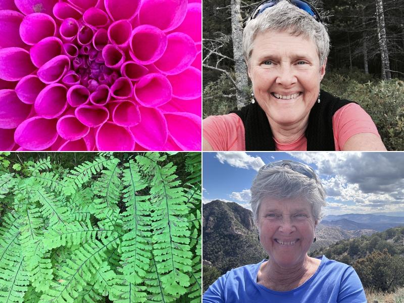 Dr Wendy Pollock DC, CCH / InnerShores