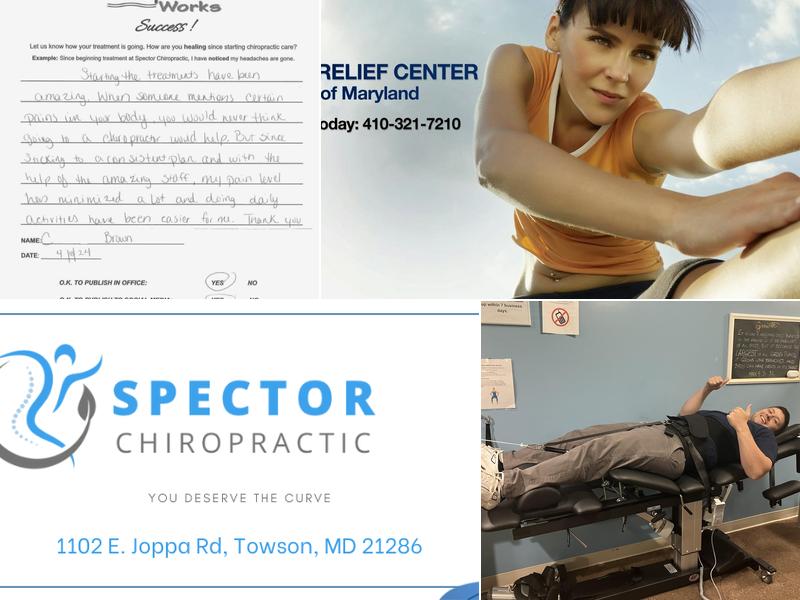 Spector Chiropractic - Towson