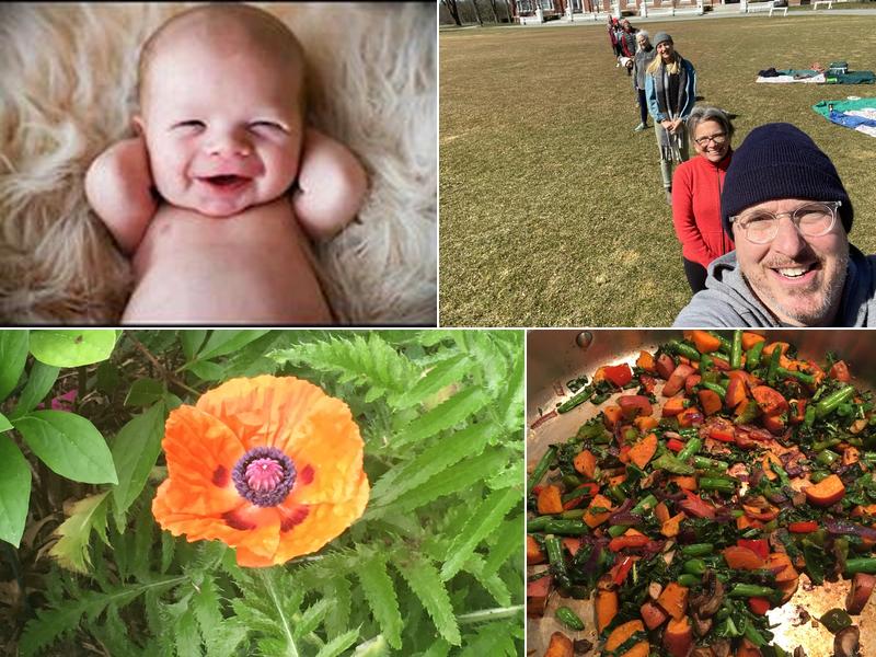 Englander Chiropractic Center: Englander Nina DC