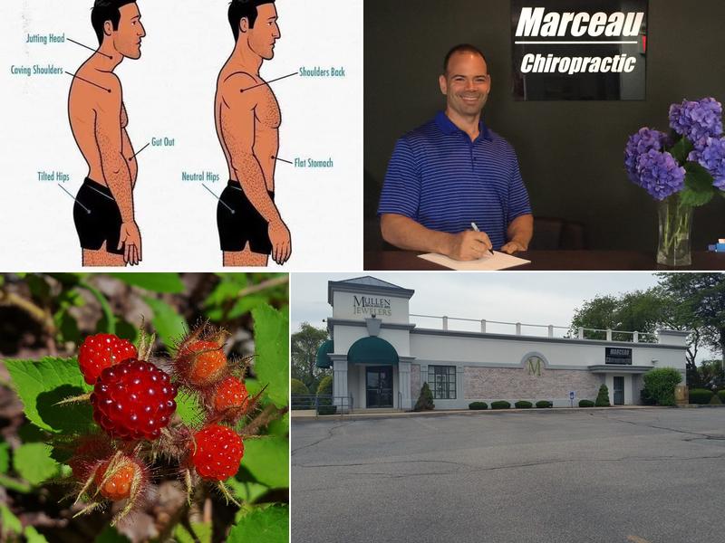 Marceau Chiropractic & Rehab