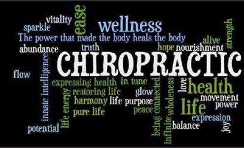 Napier Chiropractic Clinic: Golas William J DC