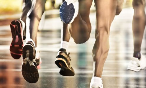 Oakland Sports Chiropractic 214 S Broadway St Suite 210, Lake Orion Michigan 48362