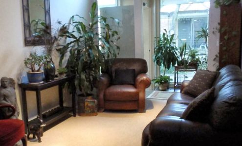 Simply Chiropractic 23023 Orchard Lake Rd, Farmington Michigan 48336