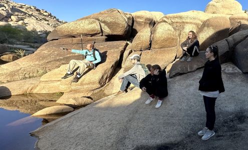 Joshua Tree Excursions