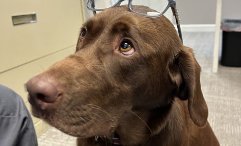 Back In Action Chiropractic - Formerly Beeler Chiropractic 903 MN-15, Hutchinson Minnesota 55350