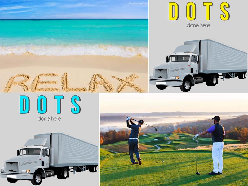 Cone Chiropractic Ltd