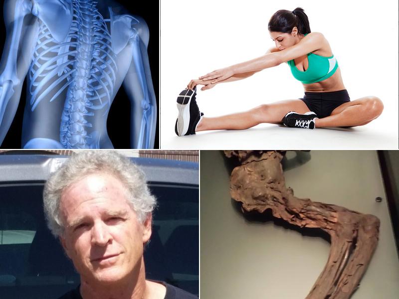 Ford Chiropractic: Ford Keith C DC