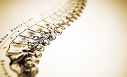 Functional Chiropractic Care of New England LLC 20 Homestead Pl, Alton New Hampshire 03809