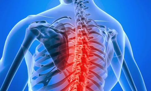 Duddy Chiropractic 6 Mount Bethel Plaza, Mt Bethel Pennsylvania 18343