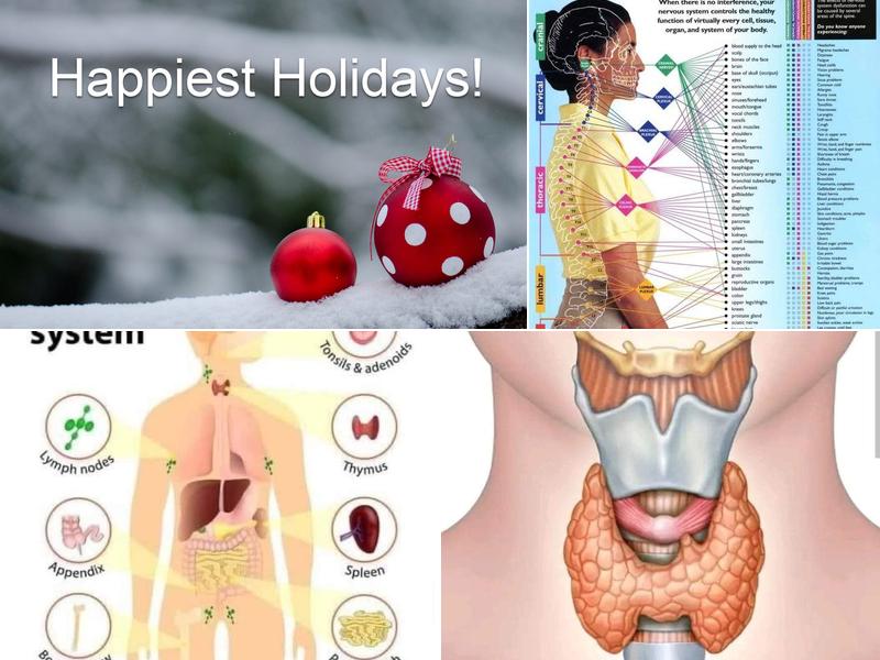 Mark L. Schwartz DC PC