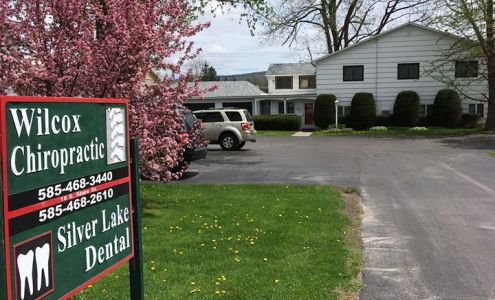Wilcox Chiropractic 18 S State St, Nunda New York 14517