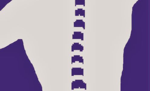 Mitchell B. Levine, DC 107 Northern Blvd, Great Neck New York 11021