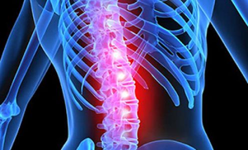 Dr. Seth L. Berrin, Chiropractor,