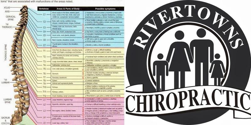 Dr. Stuart N. Landesberg, DC