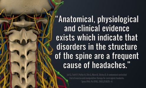 Cartagine Chiropractic and Wellness; Body-Mind-Health