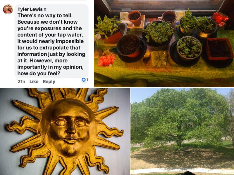 Health in Harmony Center