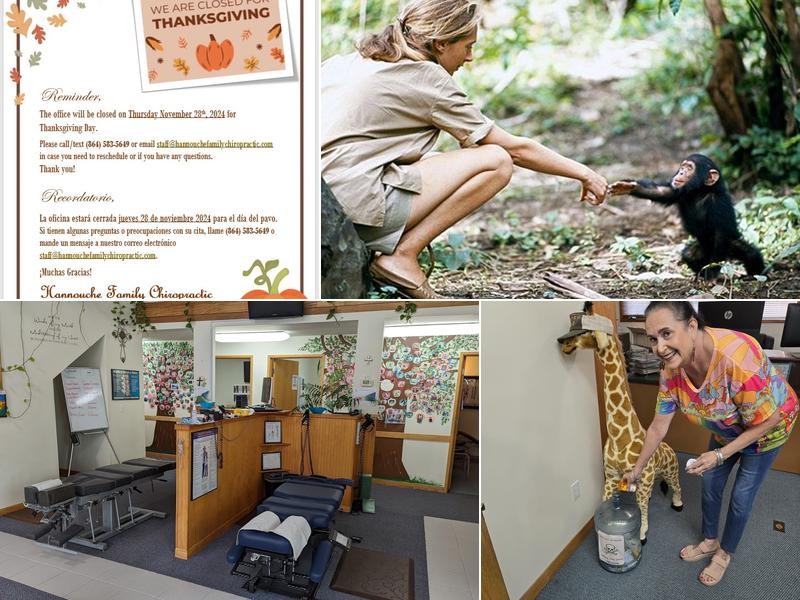 Hannouche Family Chiropractic