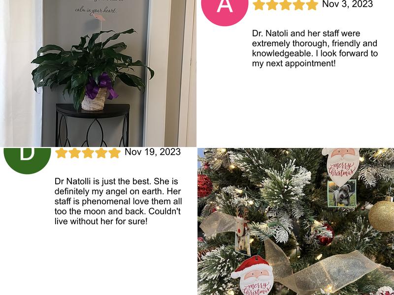 The Chiropractic and Functional Neurology Center