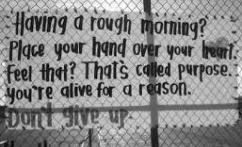 Leefer Chiropractic Center